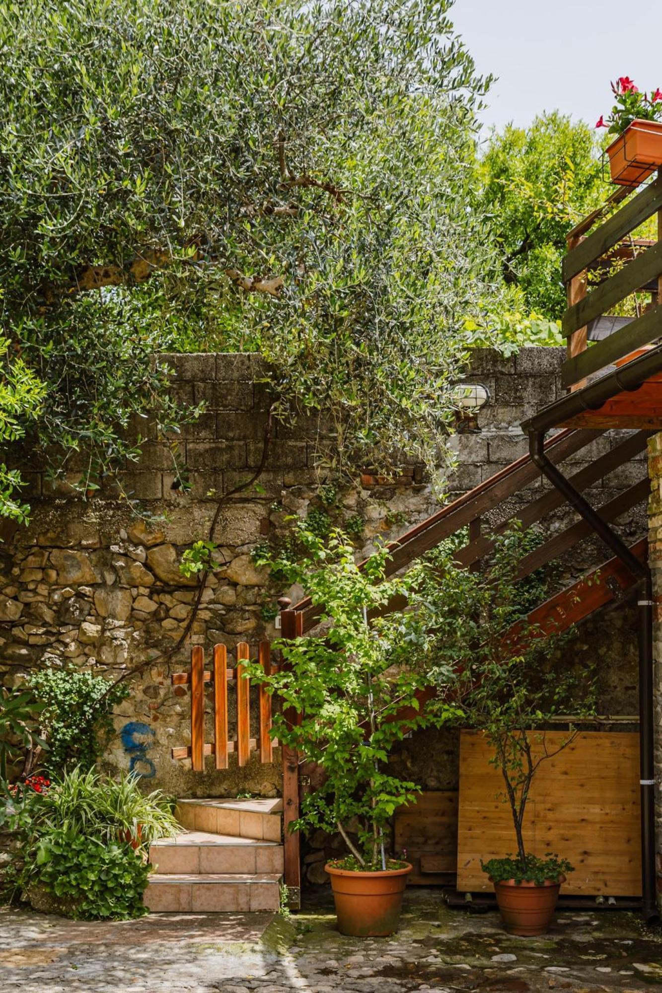 Apartament Cozy Castello Manerba del Garda Zewnętrze zdjęcie